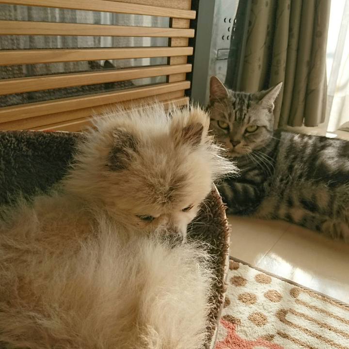 34b93b57 158e 48ef bc84 834263bc14f4