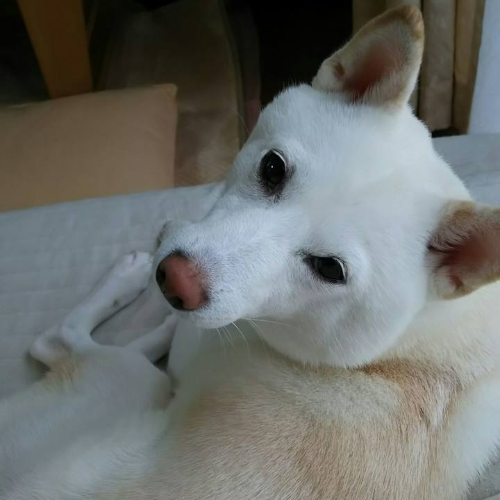 34b9ab05 66e8 4bc7 803a 3905f9f8566c