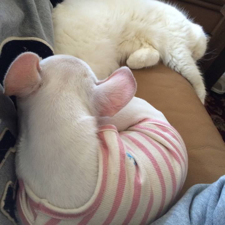 34ba3af1 199f 40df a4ba 54cac830fc37