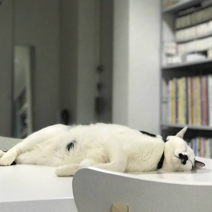 34ba86da 2944 4f84 a1ea 18db7cd0f312