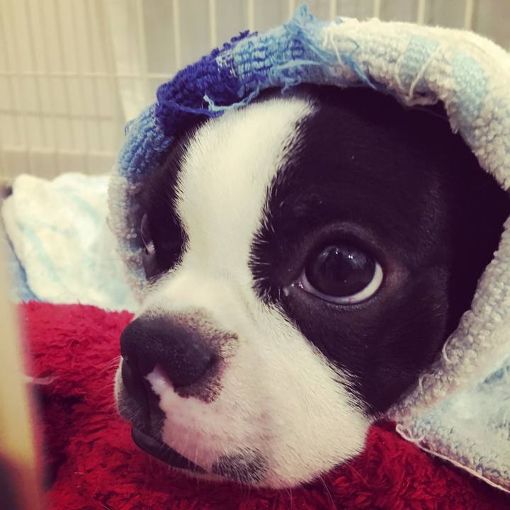 34baee18 1a99 4d5f b276 973bd403e7ab