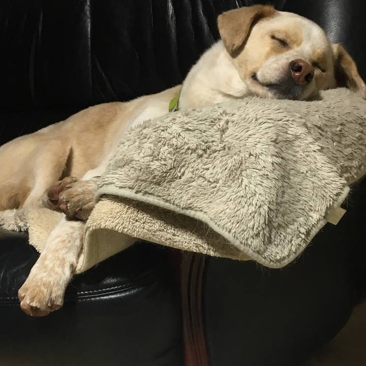 34bb9a81 6340 456e b48f 3d92131b815e