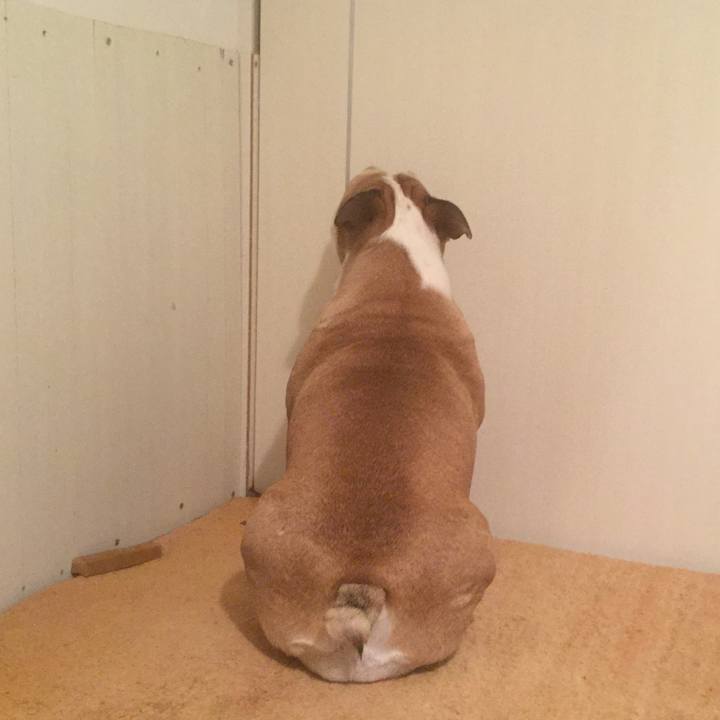 34bbf6f1 78d3 490e b905 52af454e9ac6