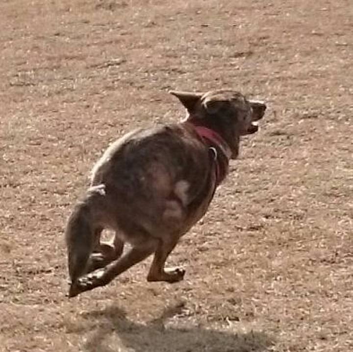 34bc2f7a 848f 41e0 aa84 c485113ed154