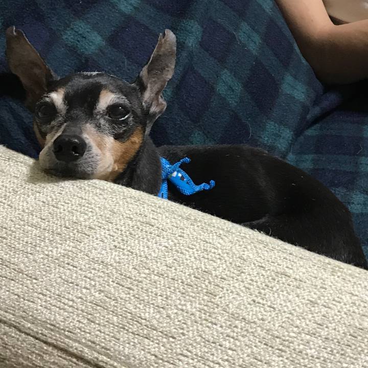 34bc91e3 a50d 4ab9 9a60 118113d2c2d0