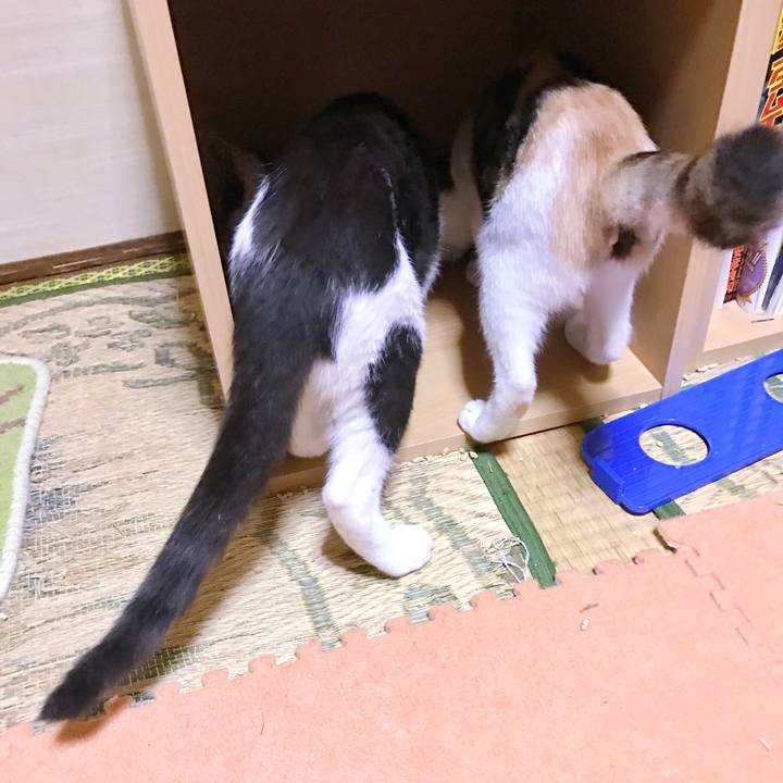 34bd139c 2b32 4fe9 8702 f17a0b803c63