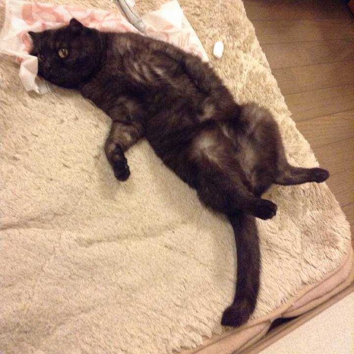 34bd5a28 be43 4153 9571 857772cf28d1