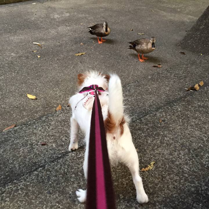 34bdbbb1 769c 4637 8501 4b36f1cdcf79