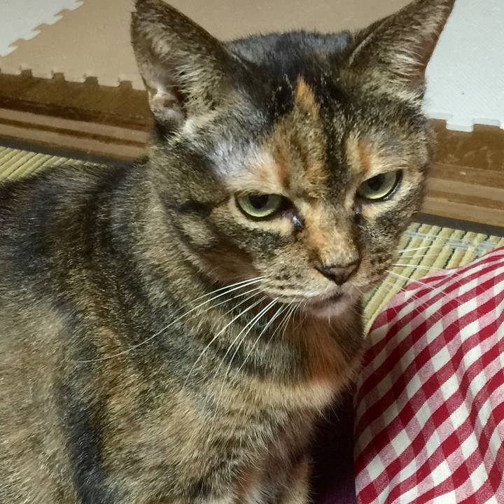 34bdde61 cb12 450d 9319 c5328155641d