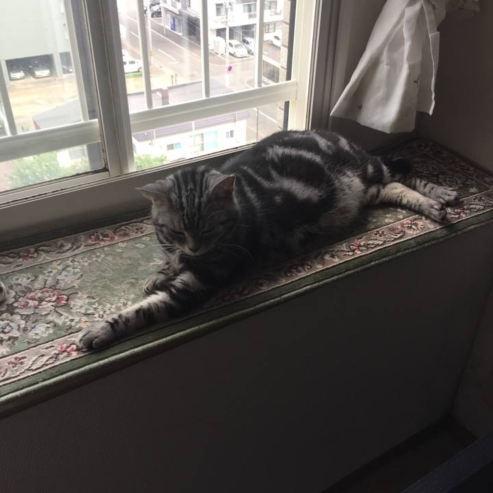 34be18a7 c5bd 4a68 8e2a 749fbf0c19aa