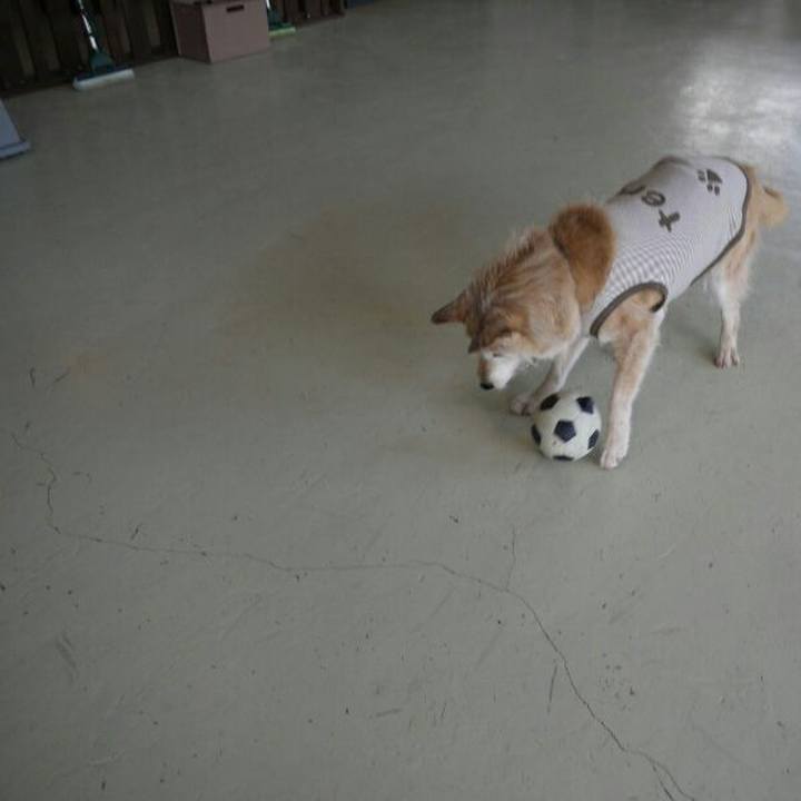 34be7796 d08c 4f36 b4fb 4f77475bd5f2