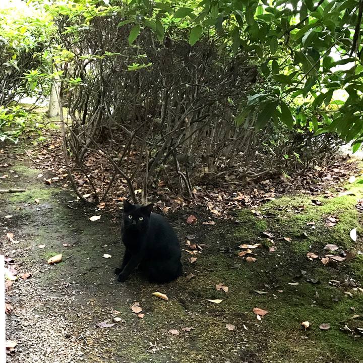 34be7cee 191c 4ca1 af83 df6eea676ca1