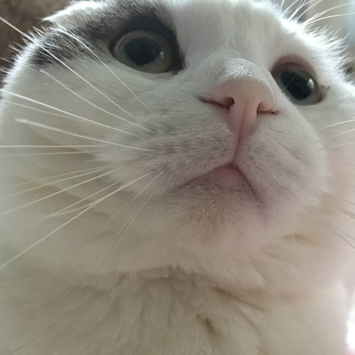 34be8472 c5c0 41a1 9502 1b14da240b6e