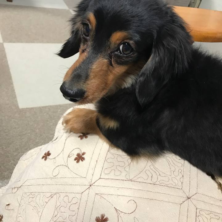 34beb320 8221 4bed 8c1c 786299989be1