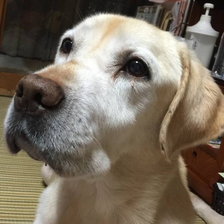 34bf42ae 7be1 4618 8a74 6c2c8d180193