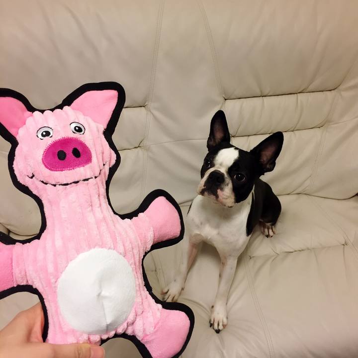 34bf5bd1 3aef 4ba8 9441 7e858740bb6e