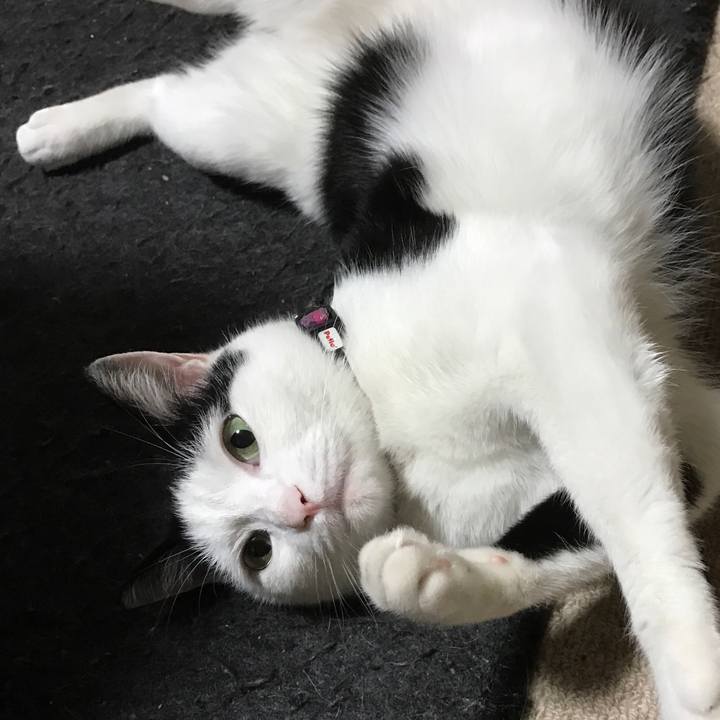 34bf8b8f 75e1 40a6 95fc 18b3333ec3f6