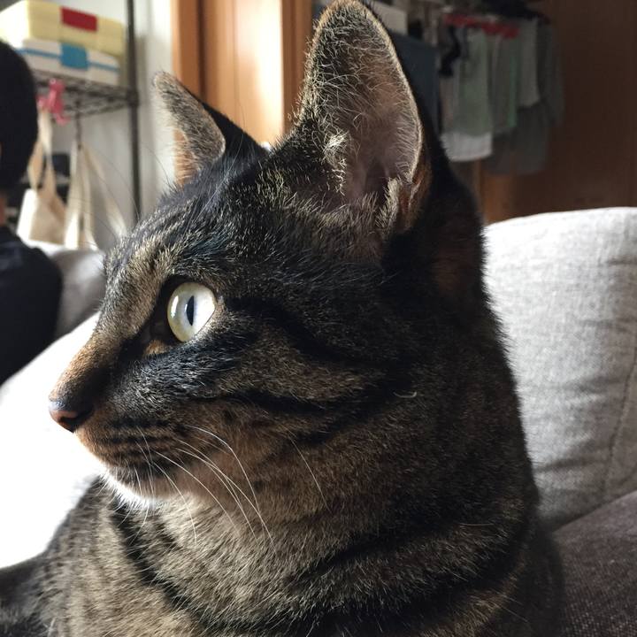 34bfe4d0 957a 48a7 a457 37cca9d5fd3e