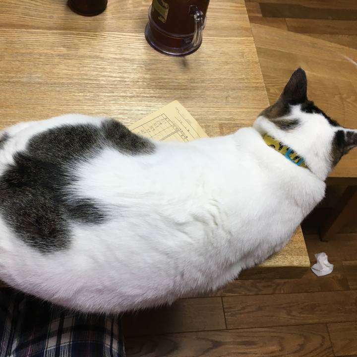 34c04029 4c66 4c94 a946 5bc42d50ef9c