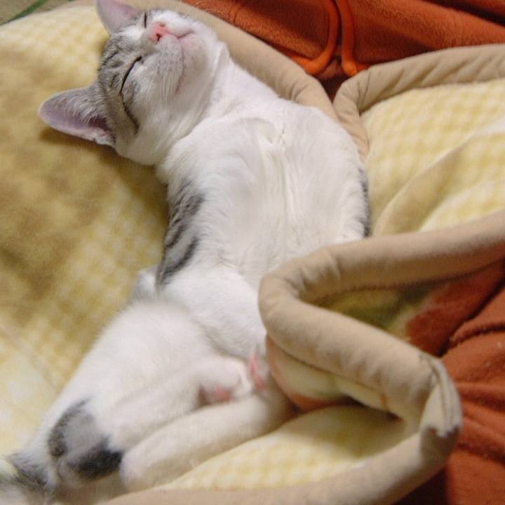 34c11d65 1179 4102 a9e2 7caff6d8dbea