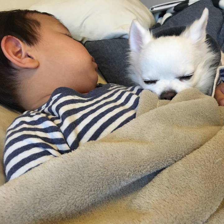 34c18e58 fab4 492e bbc4 2a52e0965a86