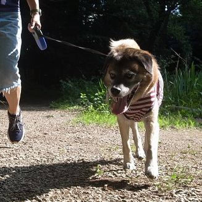 34c19203 a464 445f 8968 2683b8092e96