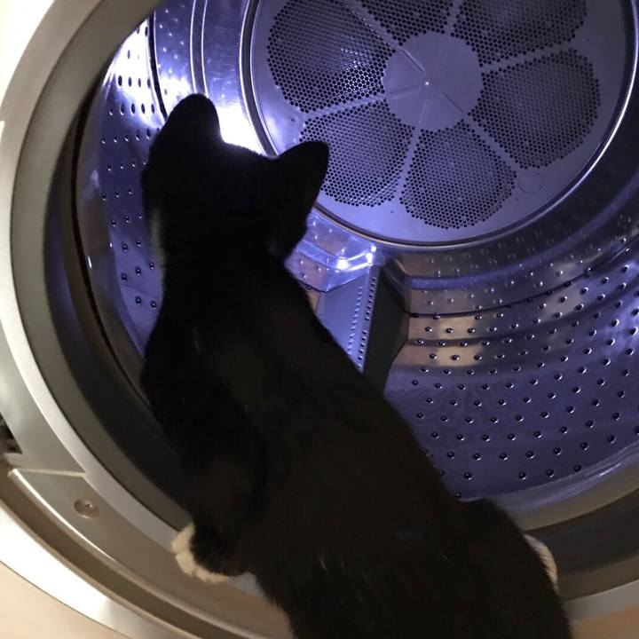 34c1d93c a5b6 45ef 9ece 2295d282e8c7