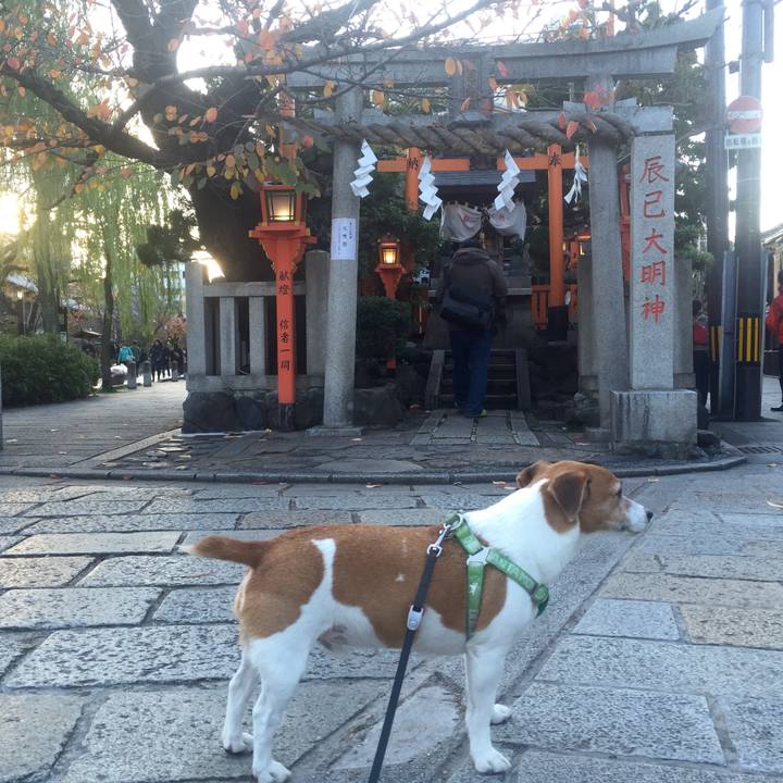 34c23e35 990d 432a adc0 4bff18285388