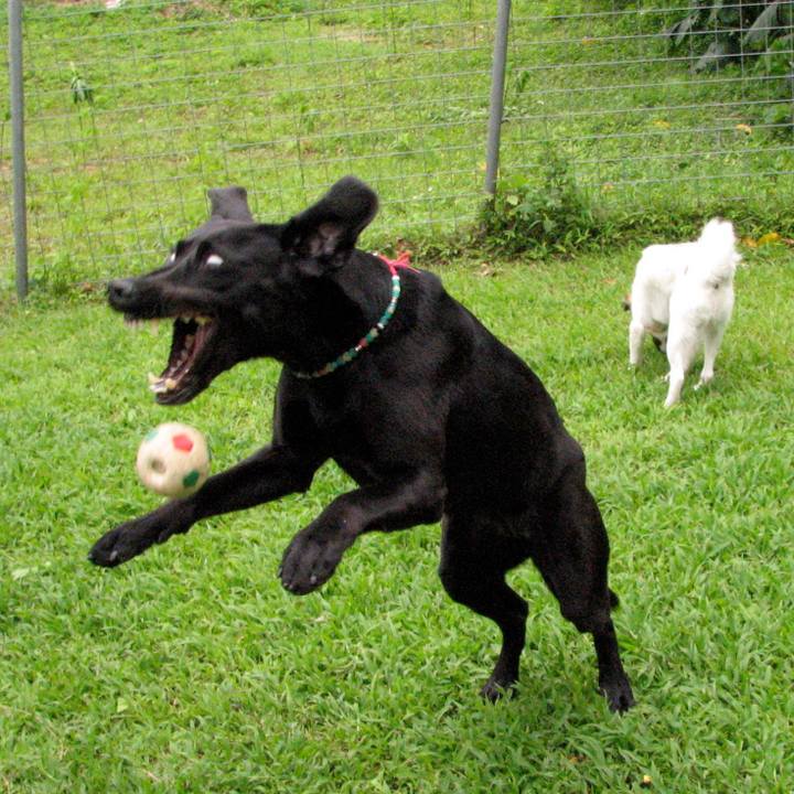 34c2589a 4875 4362 9a06 441e0993dbf0