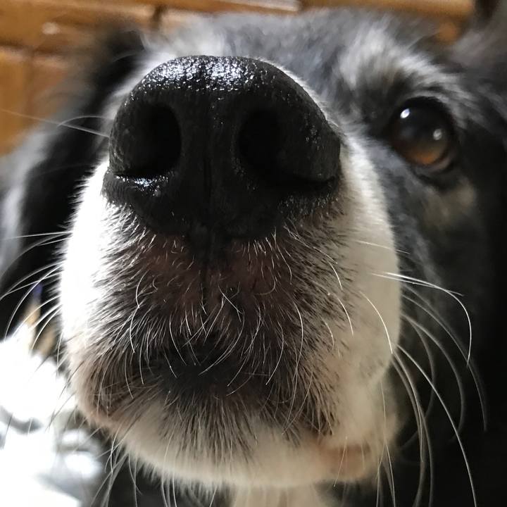 34c258bc 4643 450f 8beb b22769844e4a