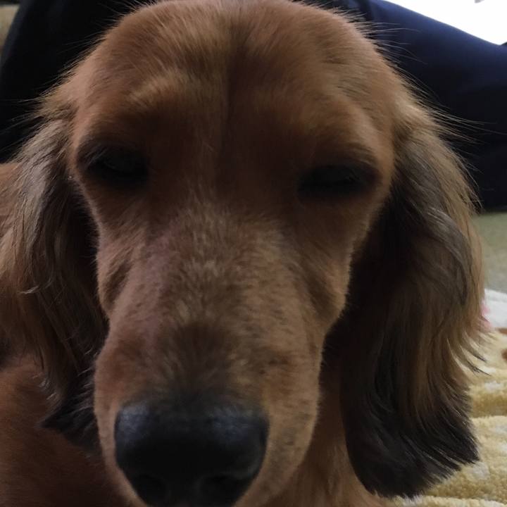 34c2ccff 3e27 46e4 82d9 f5d50eac91fa