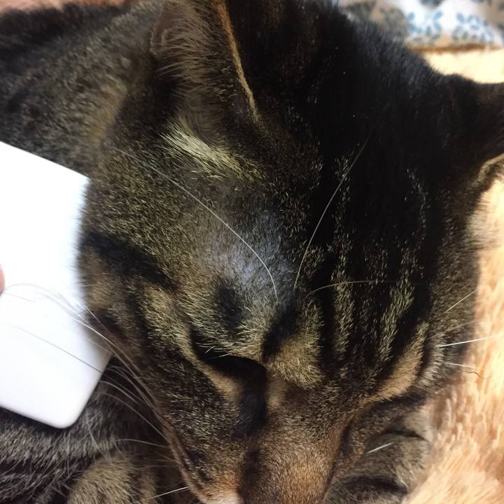 34c2d839 3e02 4b3d a5e1 cad00fda529b