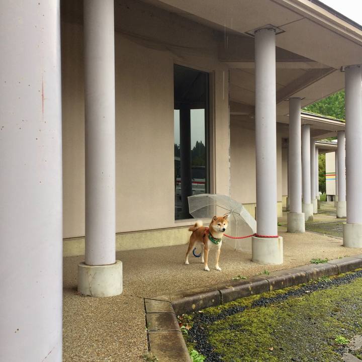 34c36d40 1936 495a a641 294ef6d21cb9