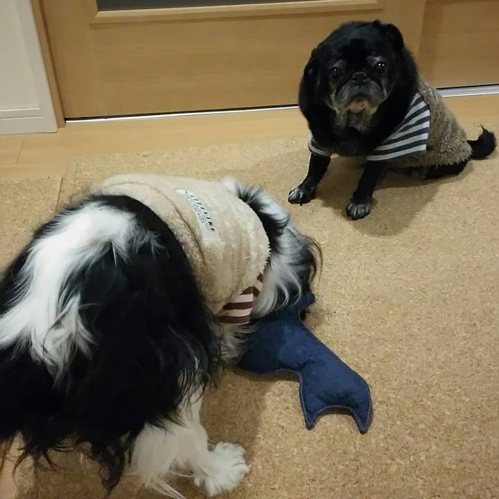 34c3dab4 b9c6 4984 963a df235d474efb