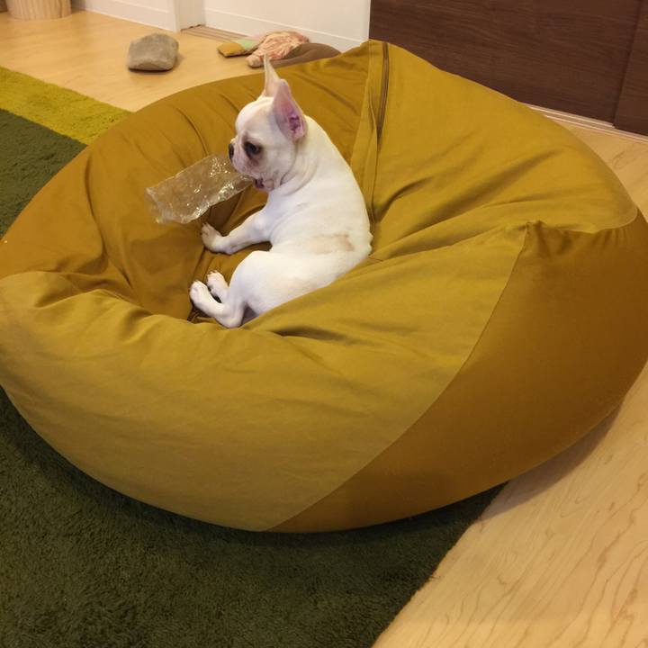 34c4cf8f ab82 40a0 8e0e eebe32f42c3b