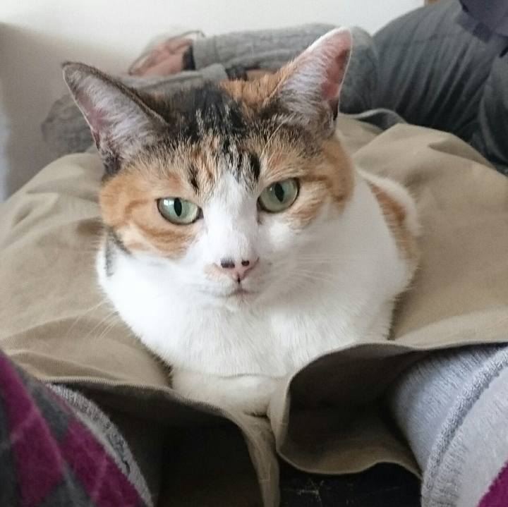 34c4de0e 2bb1 4481 8b8a 8acd5865b039