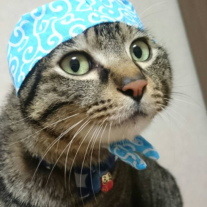 34c5ba42 3991 4ccd 9525 e1dd0d590a5c