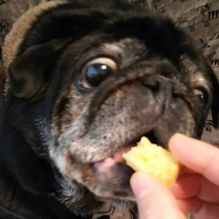 34c69fa3 d7f1 43b6 8721 2942937a2de9