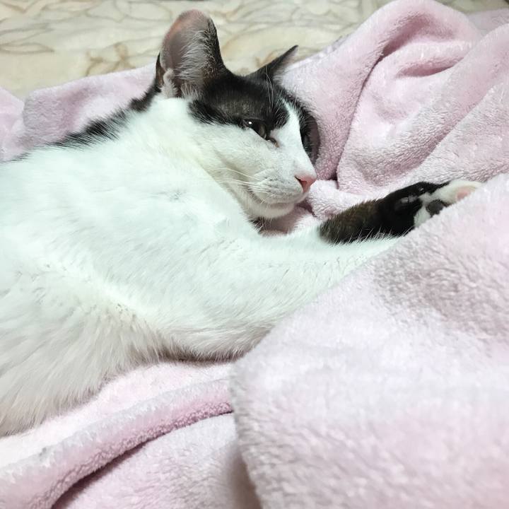 34c6cf35 23ed 4444 a67e ef3877a13dc1