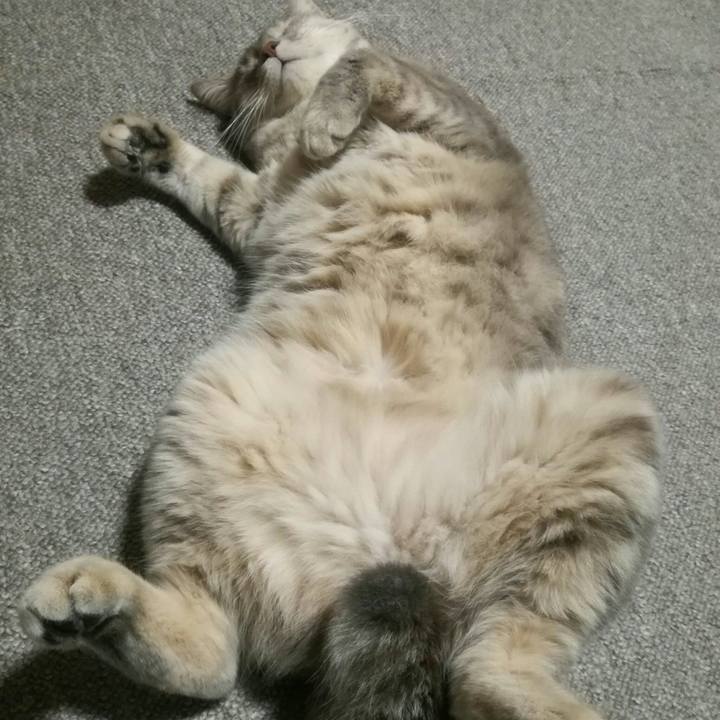 34c6f472 e0d4 4490 9acc 2fe952799cdb