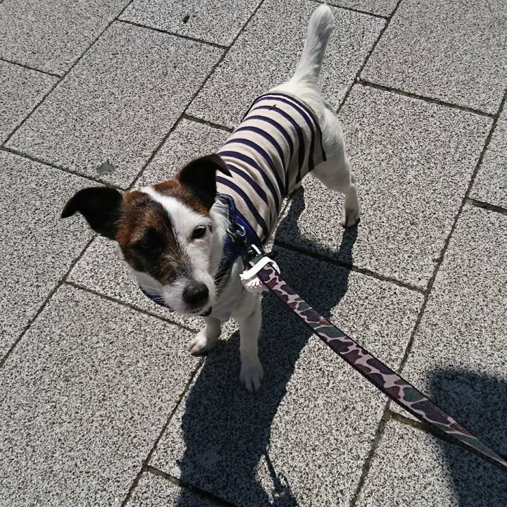 34c7db7f 0b93 4b42 b98b b8069516991e