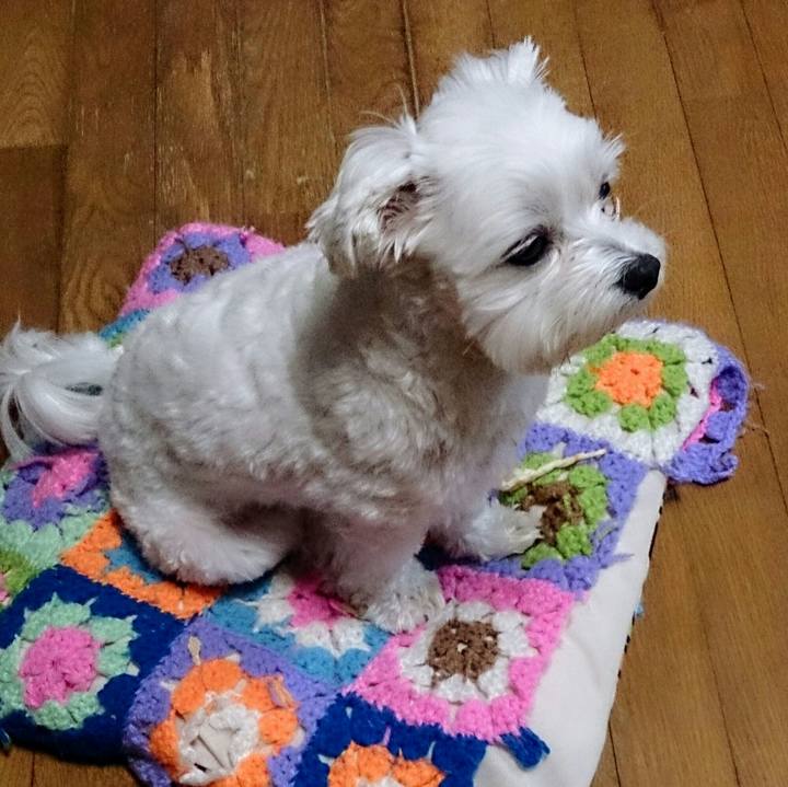 34c8ba96 6d71 4628 99f8 3588f2e39dbb