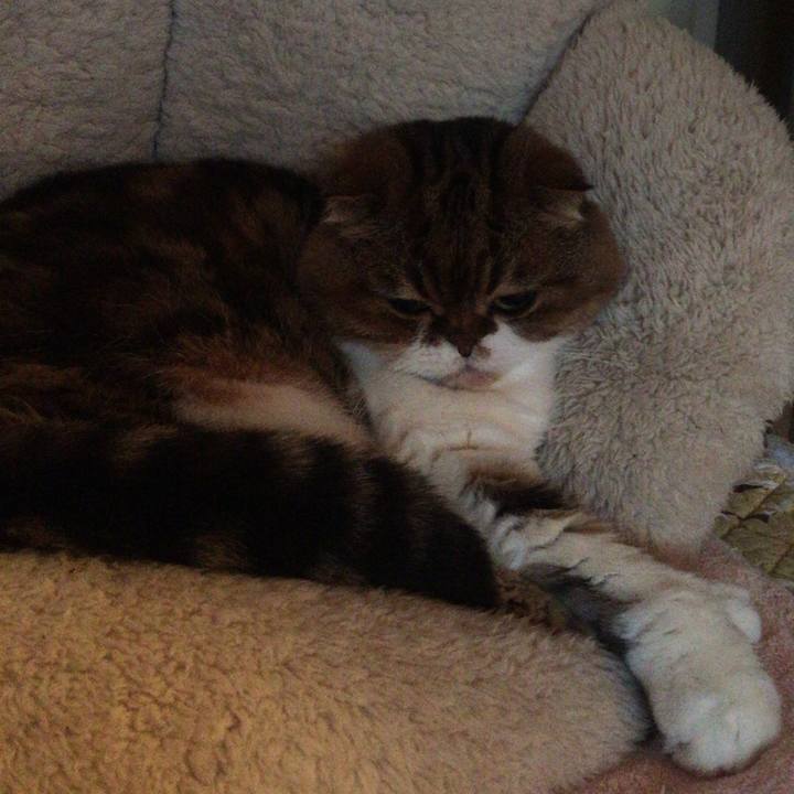 34c8f17e adcf 4ca6 8511 b81c54429853