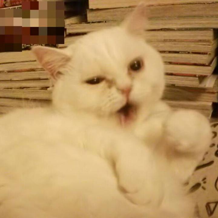 34c9d8d6 ab9a 46f8 8cb0 ca5fbe517a78