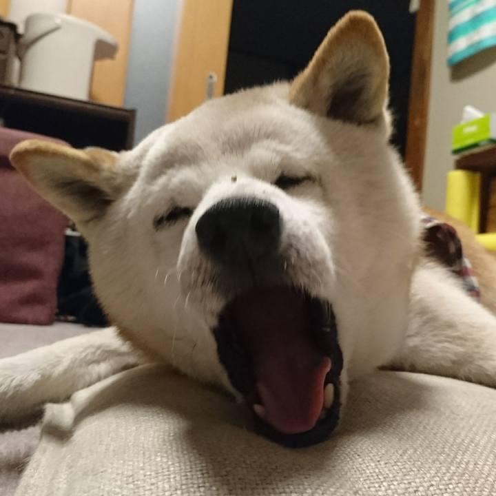 34c9dd07 b4bc 47b0 972a 9d0014b91321