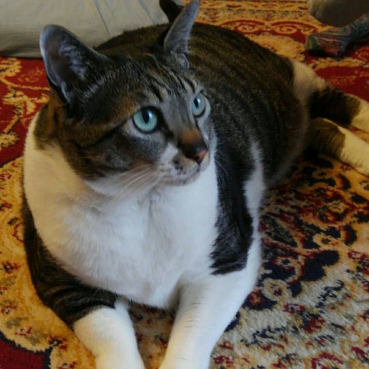 34ca1505 539a 4aec ac10 8758bda1f7a5