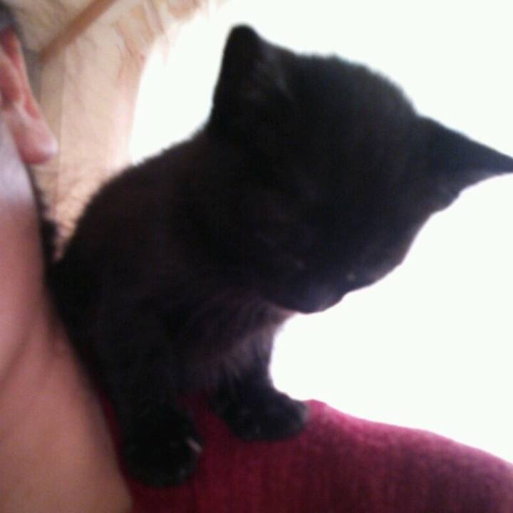 34ca41ef c8da 4c57 bd8b 63a71d7bb247