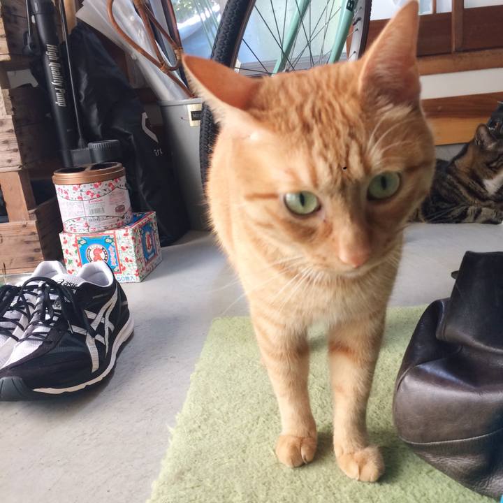 34cad890 ceec 4139 9ceb 02251396ecf9