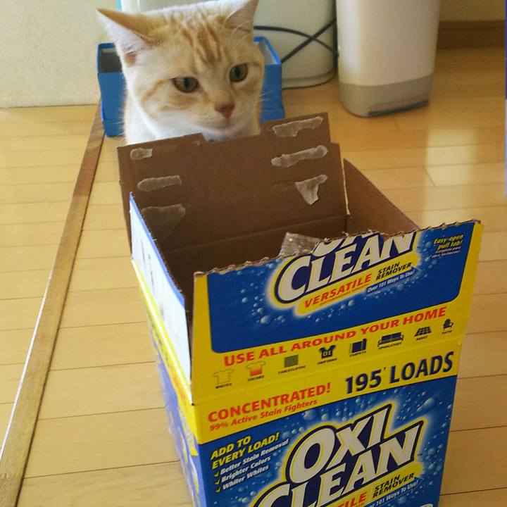 34cc6513 211a 41d5 80b1 743e405a214f