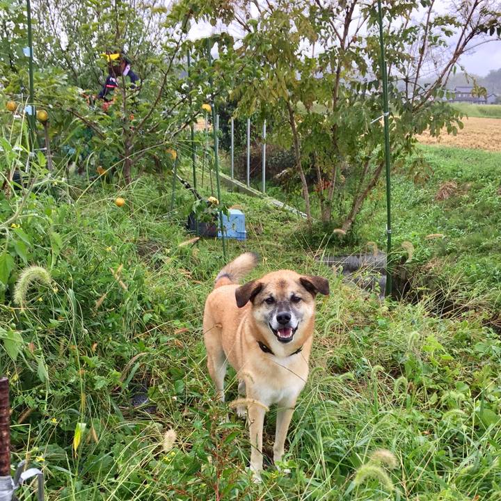 34cce2aa 2dfb 4e04 a788 01c7a1369ec3